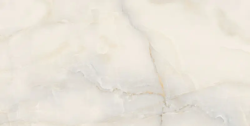 ETERNITY Onyx 24" x 48" Polished