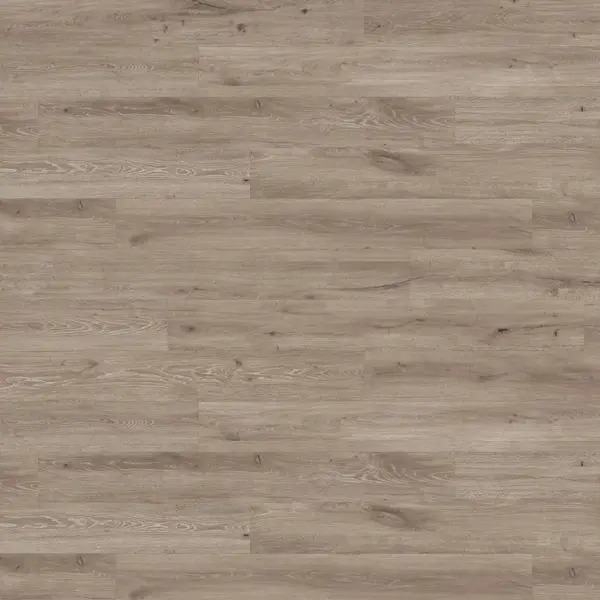 Tier Element Premier - Olympic White Oak