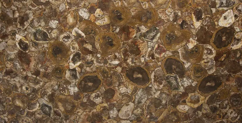 SLABS GEMSTONE - Petrified Wood