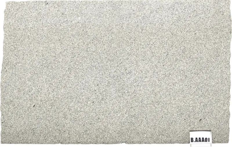 SLABS GRANITE - Grigio Sardo