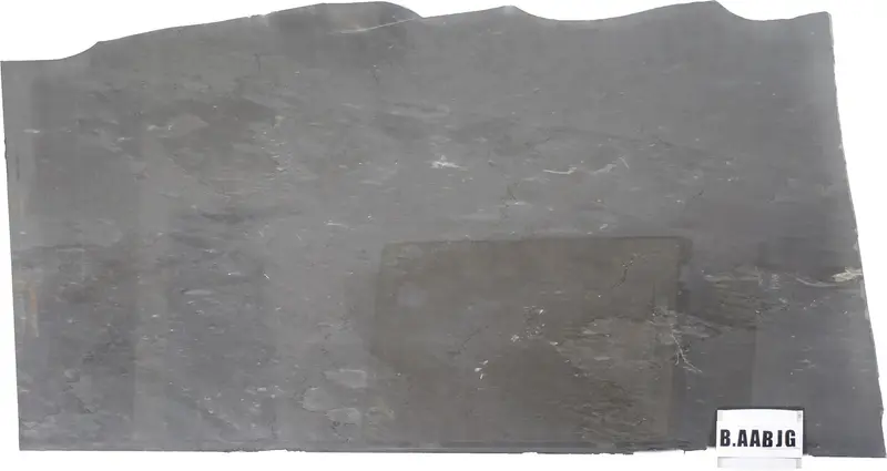 SLABS MARBLE - Bardiglio Imperiale Dark