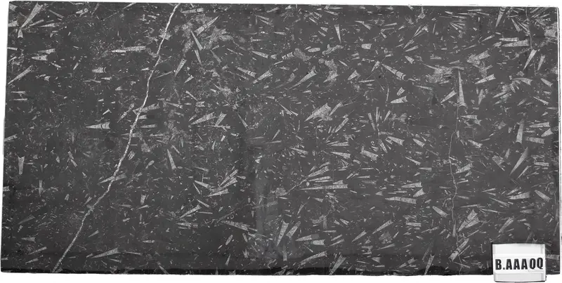 SLABS MARBLE - Fossil Black