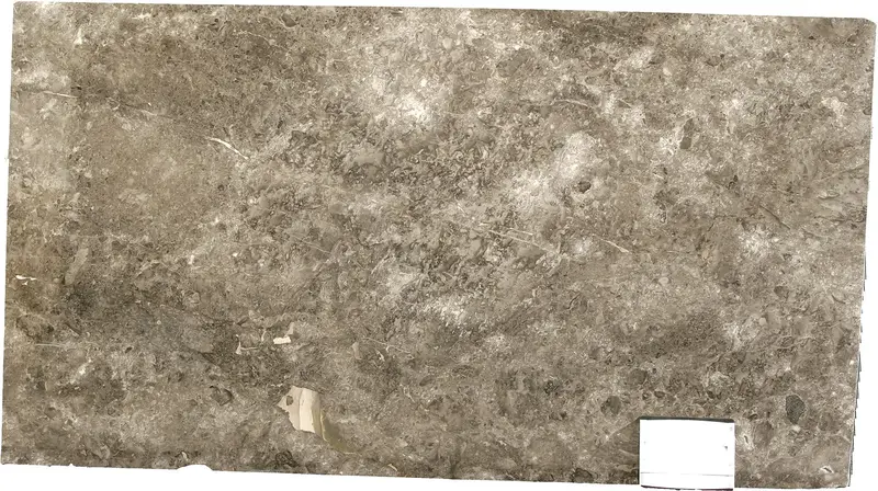 SLABS MARBLE - Grigio Billiemi