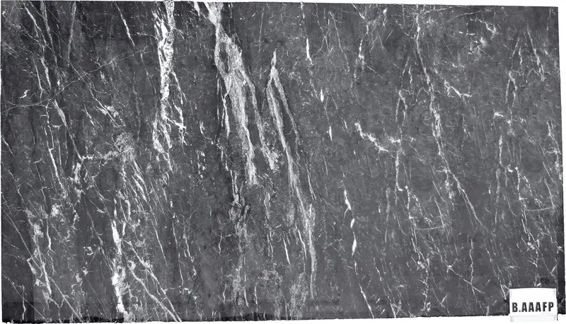 SLABS MARBLE - Grigio Carnico