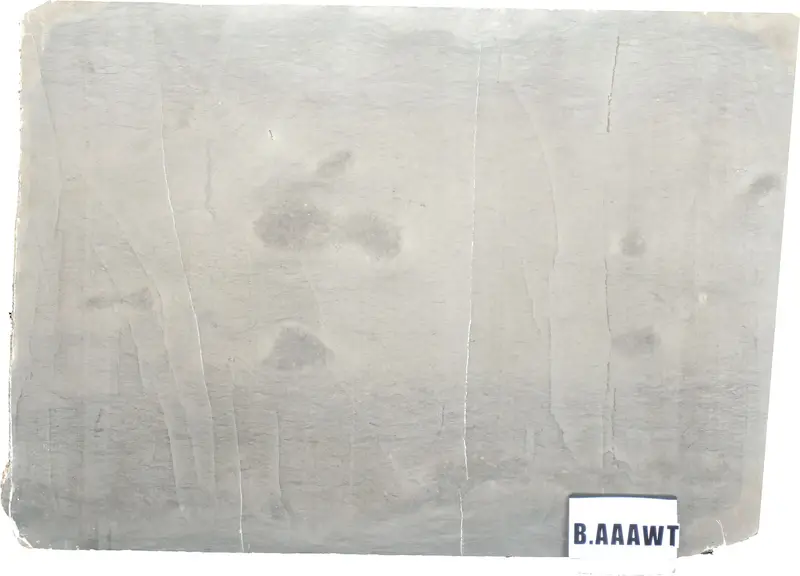 SLABS MARBLE - Grigio Tao