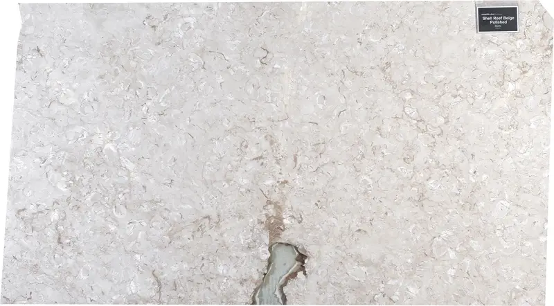 SLABS MARBLE - Shell Reef Beig L.
