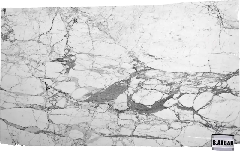 SLABS MARBLE - Statuario