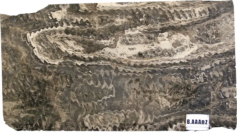 SLABS QUARTZITE - Cappuccino