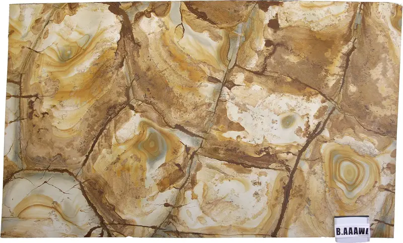SLABS QUARTZITE - Palomino