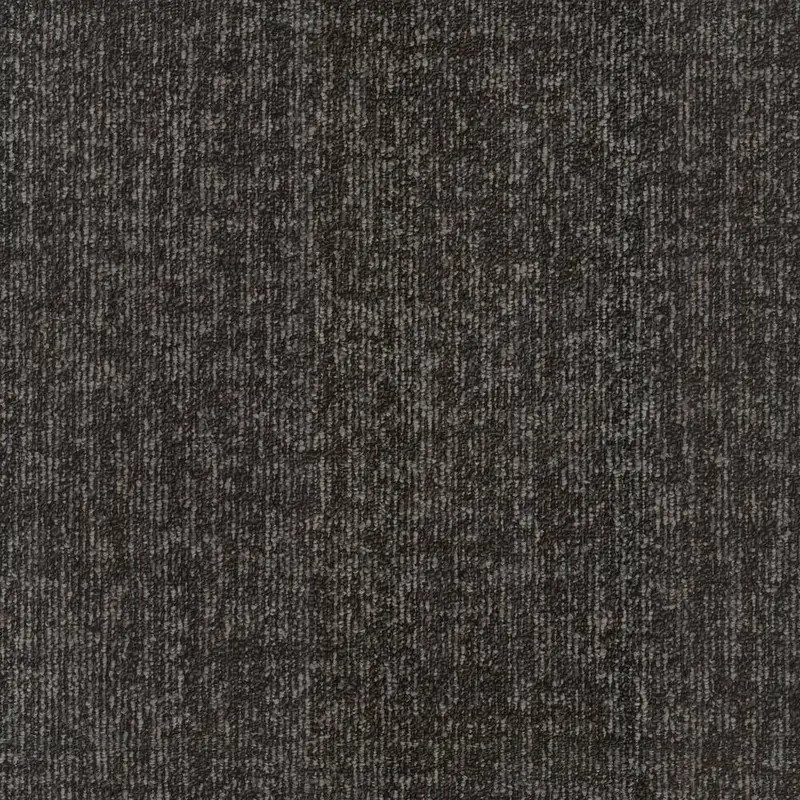 Echo
